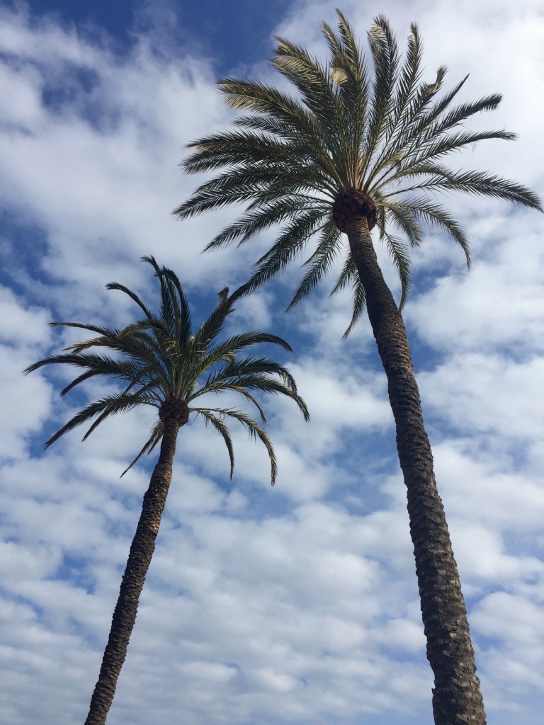 bonnes-adresses-barcelone-2 (1)