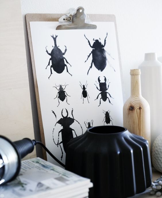 cabinet-de-curiosités-révisité