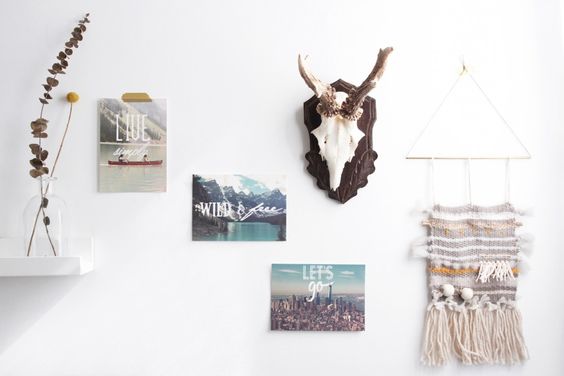 cabinet-de-curiosités-révisité