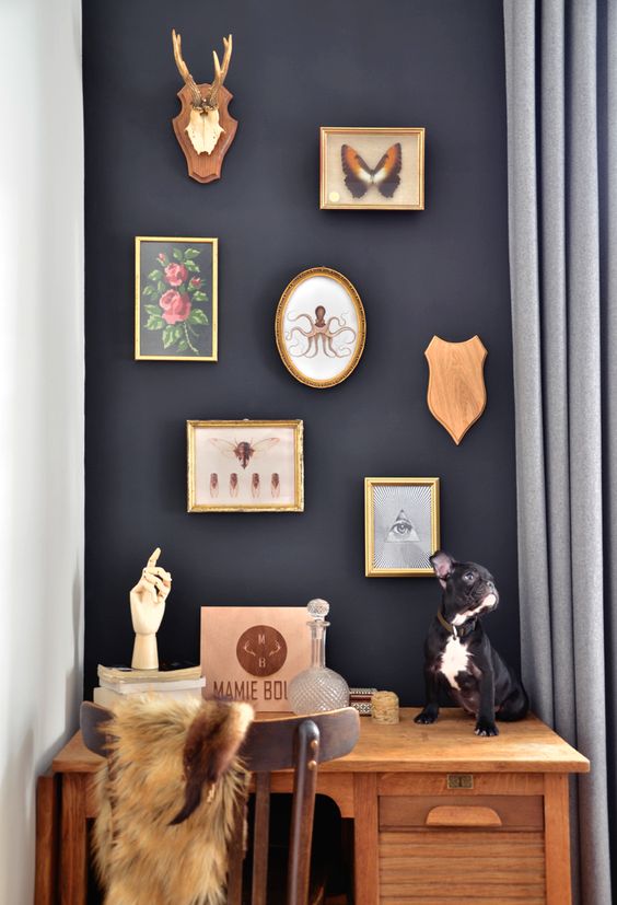 cabinet-de-curiosités-révisité