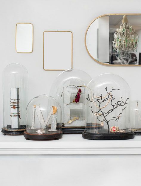 cabinet-de-curiosités-révisité